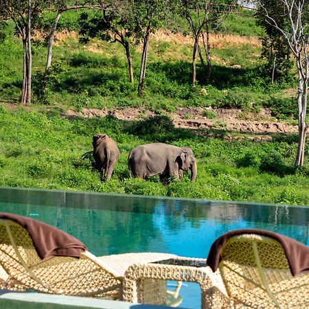 Wild Cottages Elephant Sanctuary Resort Amphoe Koksamui Εξωτερικό φωτογραφία