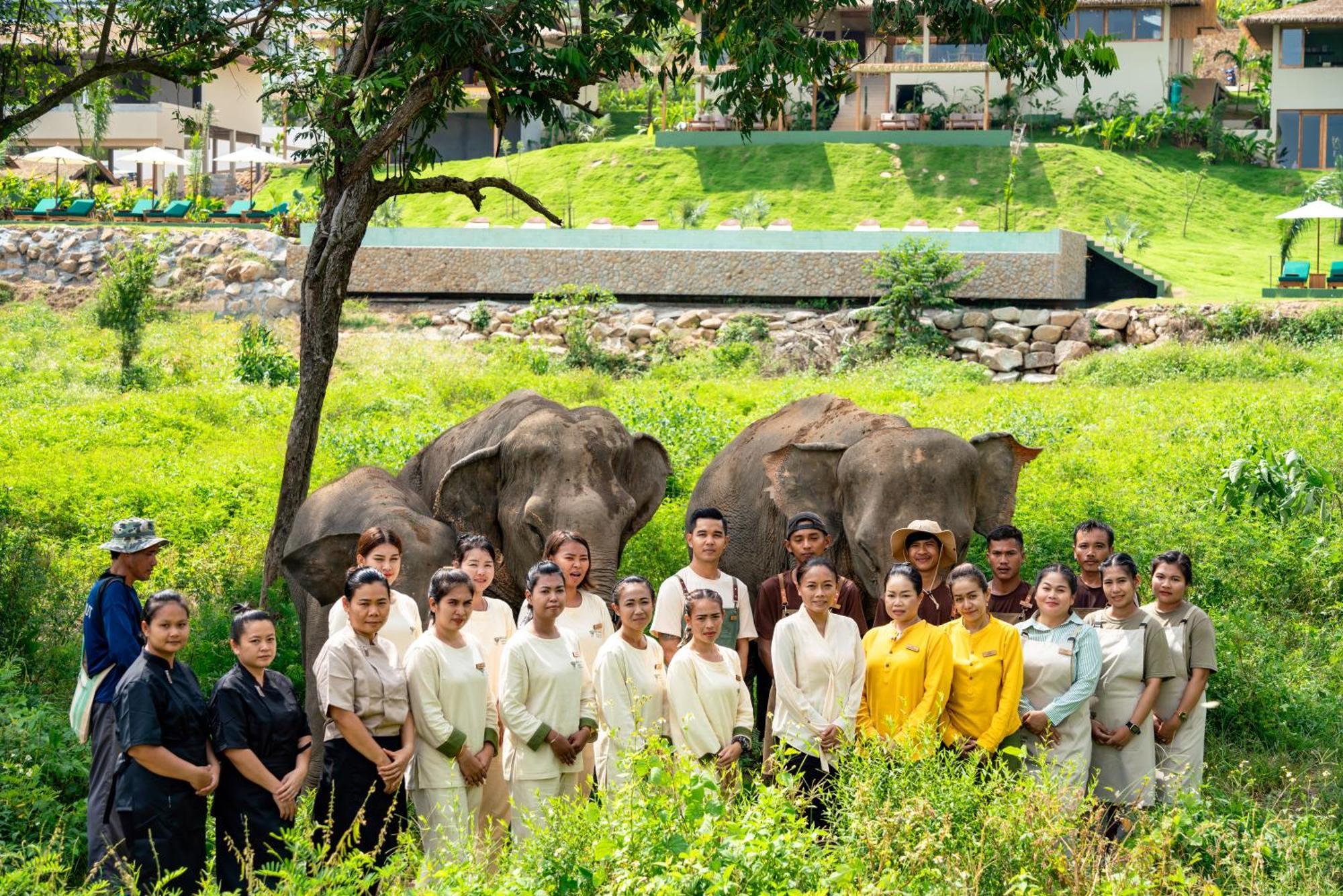 Wild Cottages Elephant Sanctuary Resort Amphoe Koksamui Εξωτερικό φωτογραφία