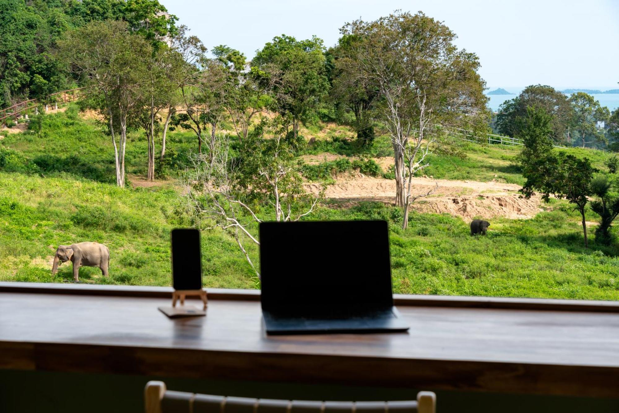 Wild Cottages Elephant Sanctuary Resort Amphoe Koksamui Εξωτερικό φωτογραφία