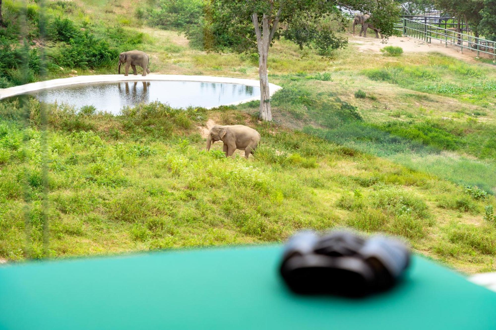 Wild Cottages Elephant Sanctuary Resort Amphoe Koksamui Εξωτερικό φωτογραφία