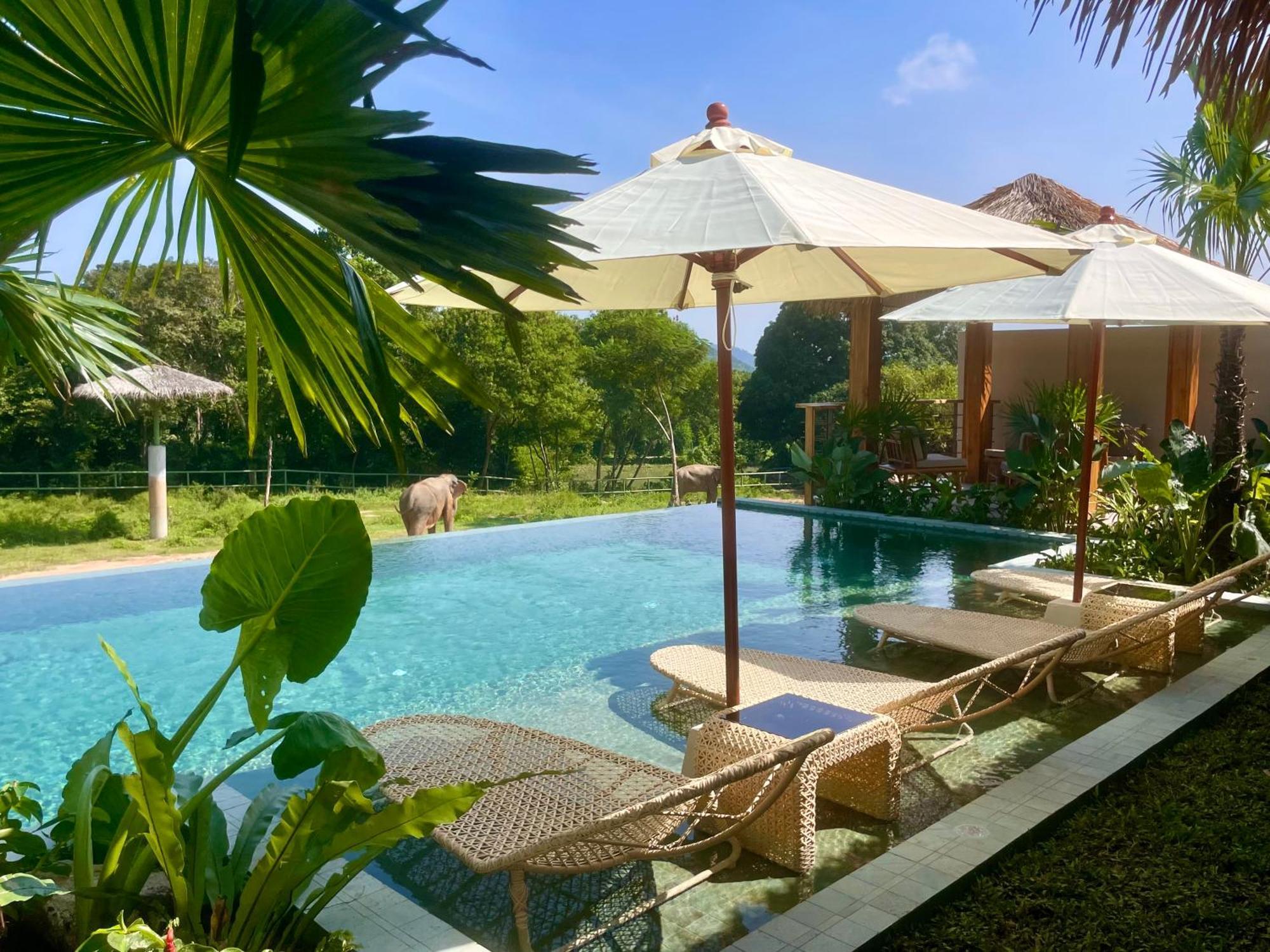 Wild Cottages Elephant Sanctuary Resort Amphoe Koksamui Εξωτερικό φωτογραφία