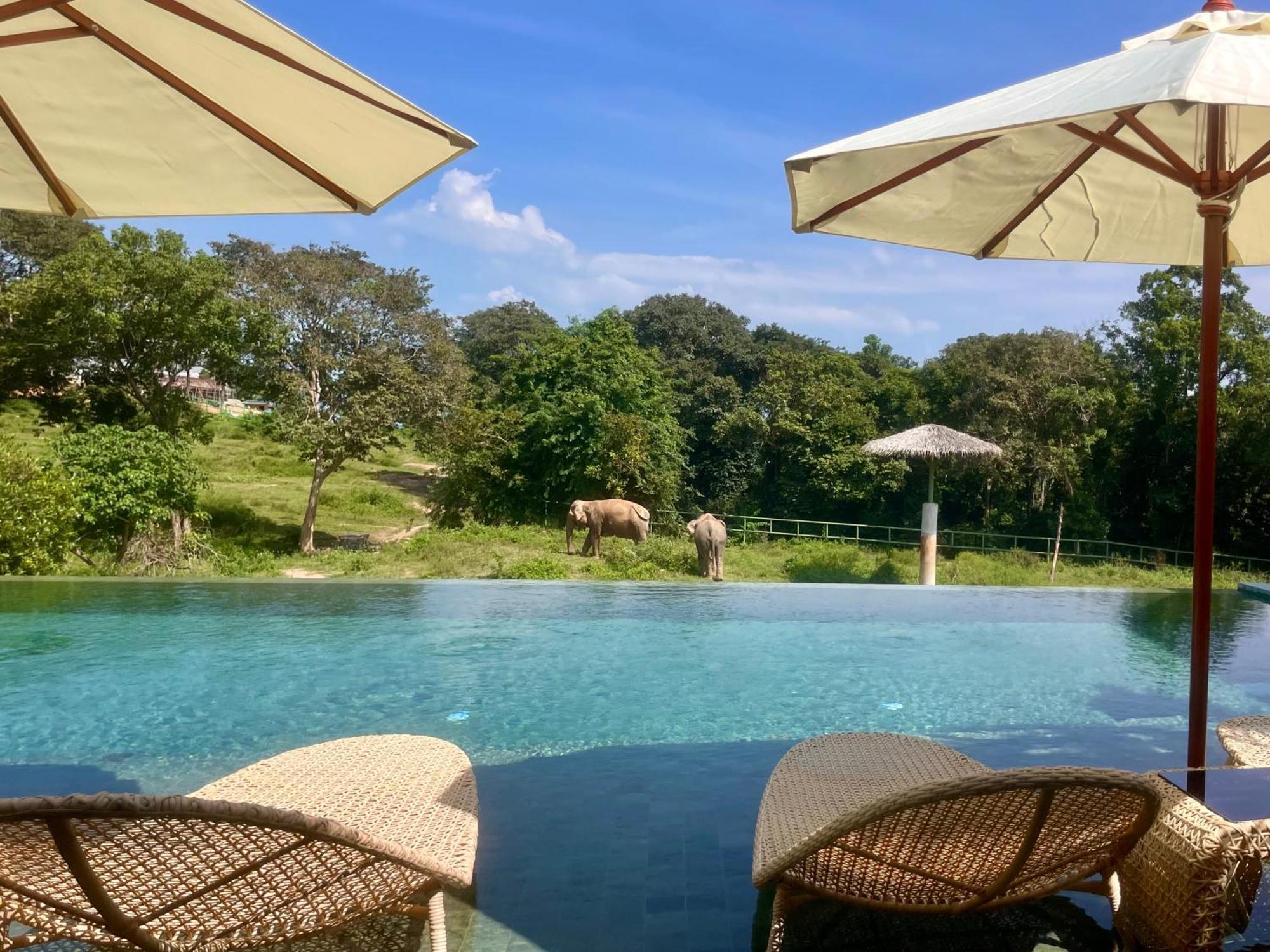 Wild Cottages Elephant Sanctuary Resort Amphoe Koksamui Εξωτερικό φωτογραφία