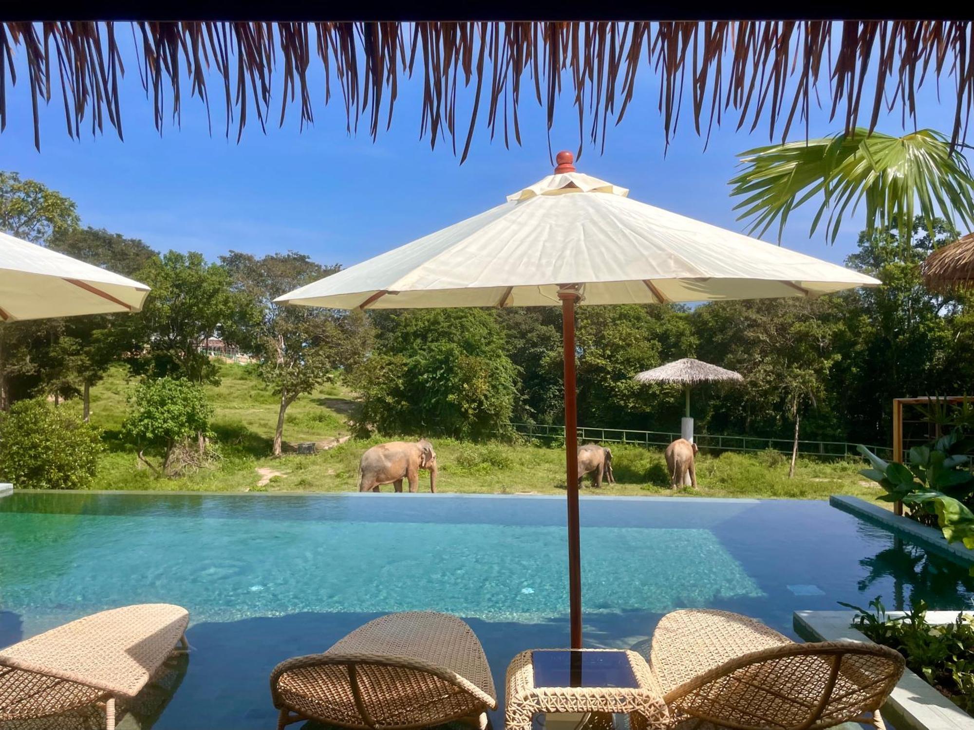 Wild Cottages Elephant Sanctuary Resort Amphoe Koksamui Εξωτερικό φωτογραφία